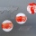 coquillage-et-corail