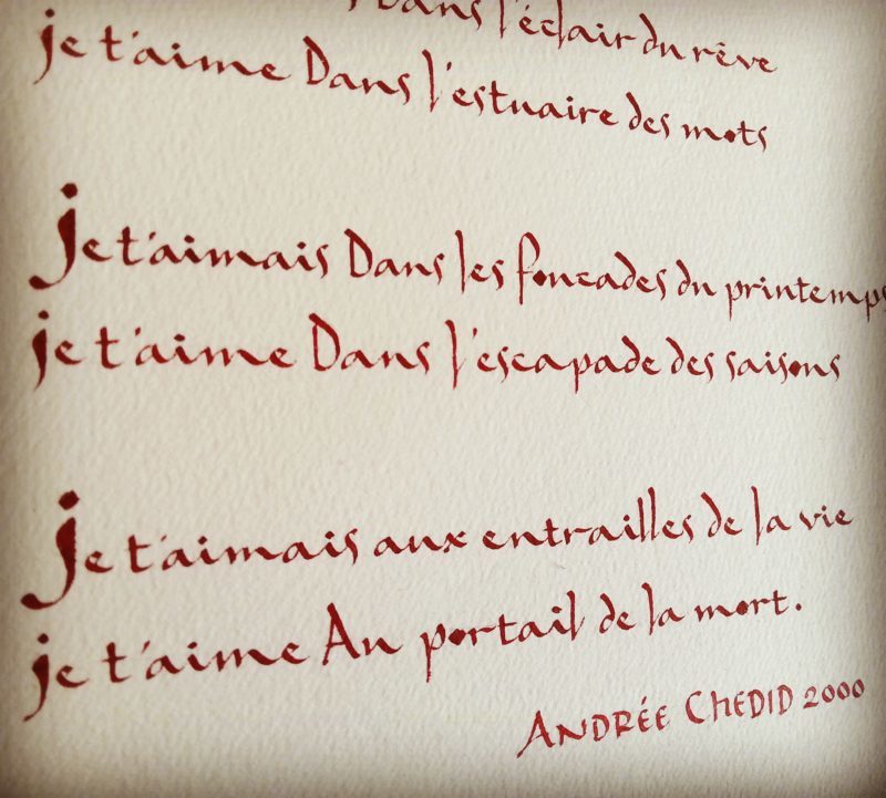 extrait calligraphie anne tassié sacramento